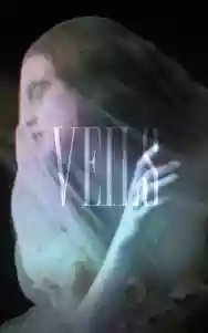 Immagine di Veils