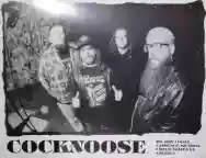 Immagine di Cocknoose