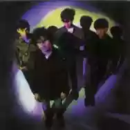 Image of14 Iced Bears