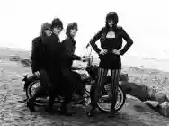 Image ofDum Dum Girls