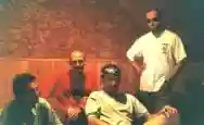 Immagine di Affluente