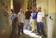 Immagine di Covo Delle Bisce