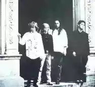 Image ofAVOX