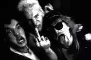 Immagine di Punky Bruster