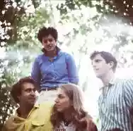 Image ofThe Vaccines