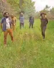 Immagine di Dire Wolves