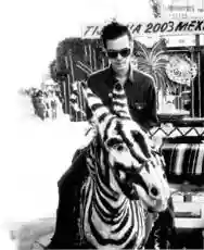 Image ofDan Sartain