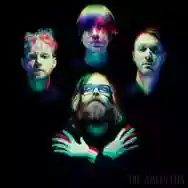 Immagine di The Amplifetes