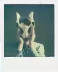 Immagine di MI