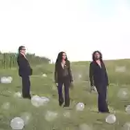 Immagine di ORCHESTRA DU SOLEIL