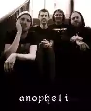 Image ofAnopheli