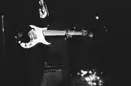 Immagine di The Cherry Wave