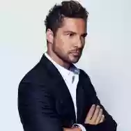 Immagine di David Bisbal