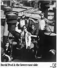 Immagine di David Peel & The Lower East Side