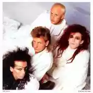 Immagine di Dead or Alive