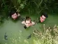 Image ofF INGERS
