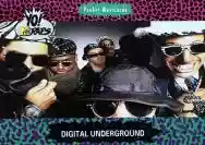 Immagine di Digital Underground