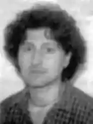 Image ofMarco Ligabue