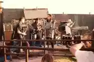 Immagine di Distorted Pony