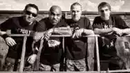 Immagine di Dog Eat Dog