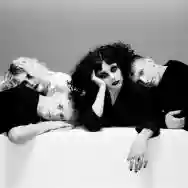 Immagine di Pale Waves