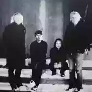 Immagine di Traden