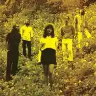 Image ofThe Grease Arrestor