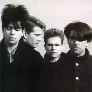 Immagine di Echo & The Bunnymen