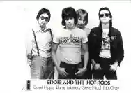 Immagine di Eddie & The Hot Rods