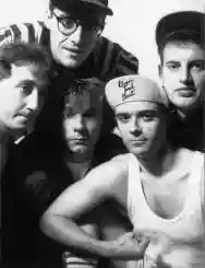 Immagine di Elmer Food Beat