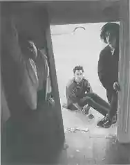 Immagine di Factrix