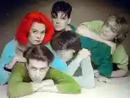 Image ofFake