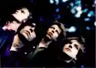 Immagine di Fatal Flowers