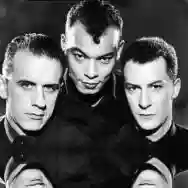 Image ofFine Young Cannibals