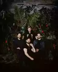 Immagine di Foals
