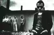 Immagine di Graham Parker & The Rumour