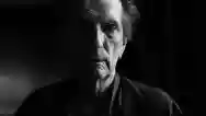 Immagine di Harry Dean Stanton