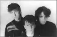 Immagine di The Icicle Works