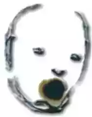 Immagine di Illogo