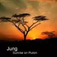 Image ofJung