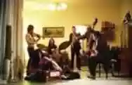 Immagine di Kammerflimmer Kollektief