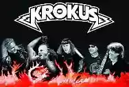 Immagine di Krokus