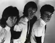 Immagine di La Peste