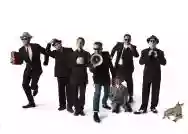 Immagine di Madness