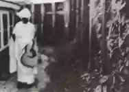 Immagine di Marvin Pontiac