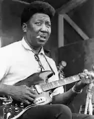 Immagine di Muddy Waters