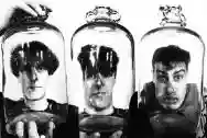 Immagine di Pale Saints