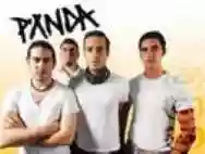 Immagine di Panda