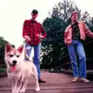 Immagine di Peyote