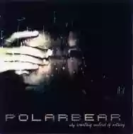 Immagine di Polarbear